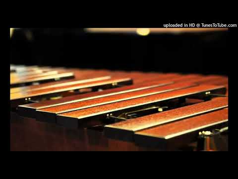 MARIMBA ESPIGA DE ORO - POPURRI RANCHERO 2