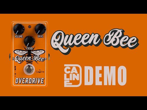 Caline CP-503 Queen Been