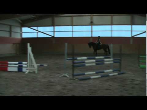 Chilling geb. 2009 Calido x Lafitte