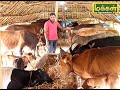 மாடுகள் கோழிகள் மூலம் நல்ல லாபம் பெற �