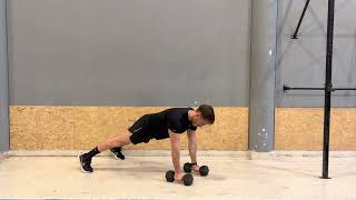 Plank Rows