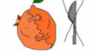 Perfeita Simetria  - Engenheiros do Hawaii