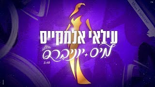 מיס יוניברס