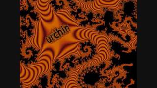 Urchin - Texas Yellow