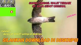 Download lagu SP RAJA SEDOT ORIGINAL SUARA PANGGIL WALET TERBAIK... mp3