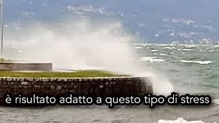 Il Mergozzo e la rotonda del molo Sironi