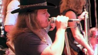 Ronnie Van Zant Tribute - All I Can Do Is Write About It (cover)
