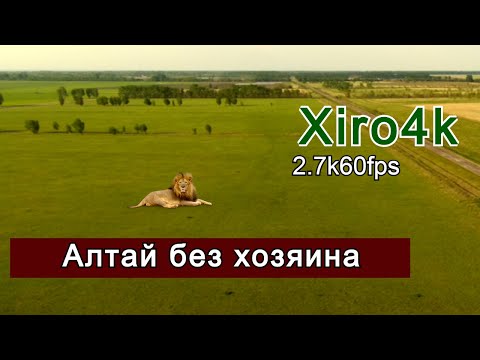 Брошенные поля Алтая!Съёмка дроном Xiro4k. (2.7k 60fps)