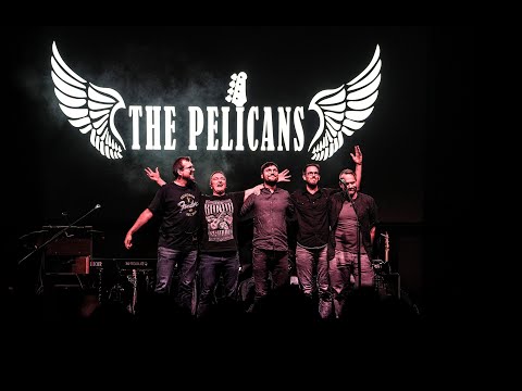 The Pelicans - While My Guitar (live 2025)