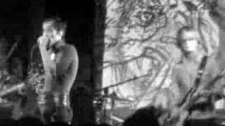 Of Montreal - Bunny Ain&#39;t No Kind of Rider