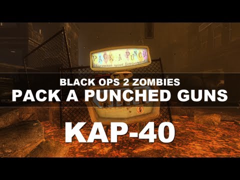 Black Ops 2 Zombies: Pack A Punched Guns | Kap-40/Karmic Atom Perforator 4000