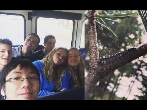 FIELD TRIP! VLOG #37 10-21-15