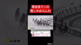 【渋々】消去法でこの馬しかおらんすわ #競馬