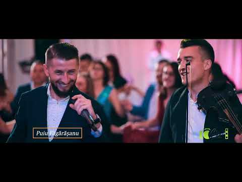 Puiu Făgărășanu,,colaj muzica de petrecere,,  live 2025