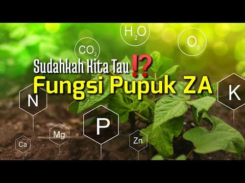 , title : 'Fungsi Pupuk ZA | Unsur Hara N 21% Amonium dan Unsur Hara Sulfur 24% | Amonium Sulfat NH4SO4'