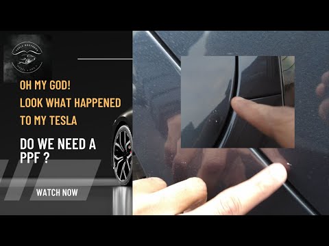 Big Mistake - What happens to a Tesla without a PPF? #tesla #ppf