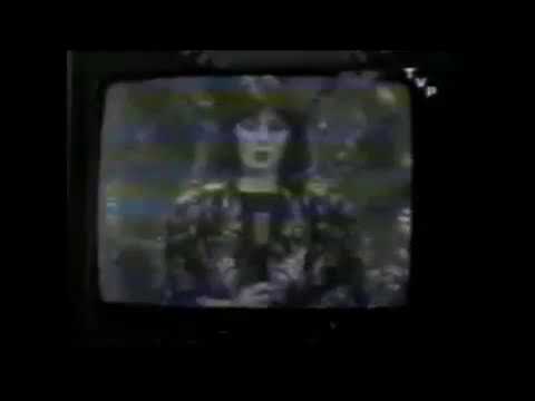 VITI I RI 1980 GJYLA DHE SHEREMETI