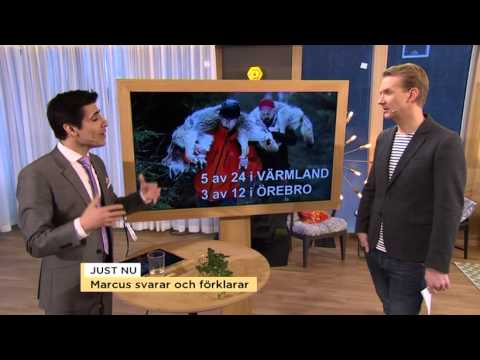 Marcus svarar och förklarar politiken för dig - Nyhetsmorgon (TV4)