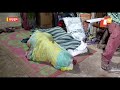 Homeless Families Life On Streets Of Berhampur As Winter Kicks In Odisha