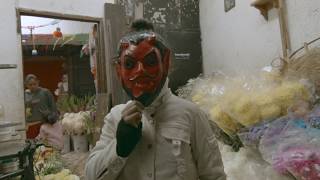 WOODPIGEON – Fence (Official Video)