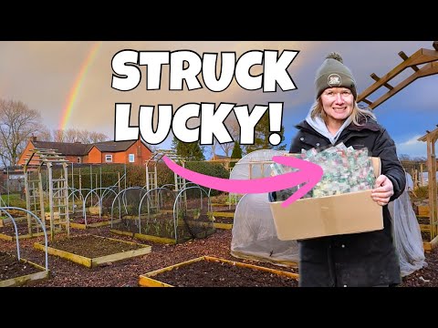 Found A HUGE Pot of Gold at the Garden Centre! Essential February Job Completed