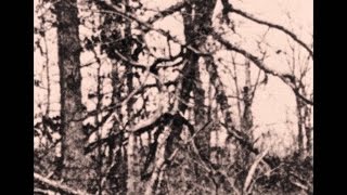 Ken Burns: The Civil War - Valley of the Shadow of Death - 1864