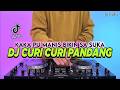 DJ KAKA PU MANIS BIKIN SA SUKA CURI CURI PANDANG REMIX VIRAL TIKTOK TERBARU 2026