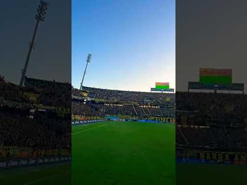 "Se los pide la hinchada, vamos a ganar la Copa la sudamericana" Barra: Barra Amsterdam • Club: Peñarol • País: Uruguay