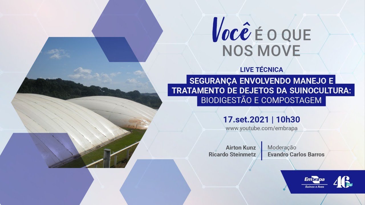 Segurança no manejo e tratamento de dejetos da suinocultura