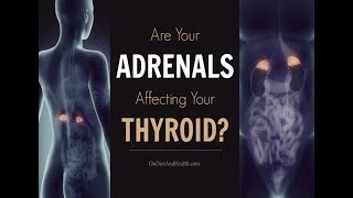 How Are The Adrenal Glands and The Thyroid Connected?