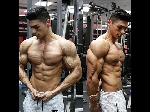 Andrei Deiu -Aesthetic Fitness Motivation 2017