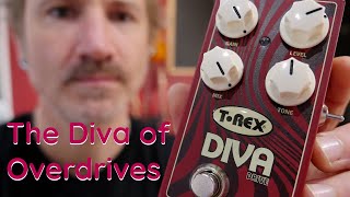 Video thumbnail for T-Rex effects Diva Drive - Classy & Classic Overdrive with blend control by james ryan