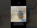 Teapot Lid Release