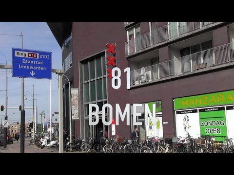 COMMISSIEVISIE - 81 Bomen