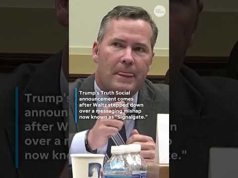 Trump taps Mike Waltz for UN ambassador #Shorts