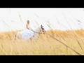 Bunny Lake - Into The Future (official Video ...