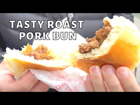 New Yorker Eats Chinese Roast Pork Bun in Boston Chinatown