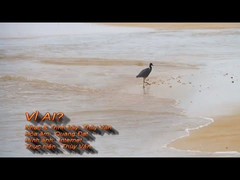 Vì ai - Thùy Vân