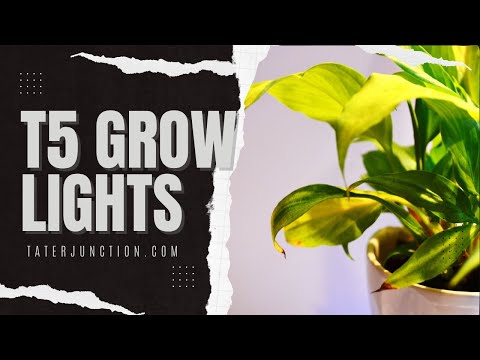 The Pros and Cons of T5 Grow Lights