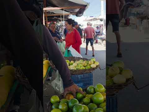 Feira Livre de Minador do Negrão, sábados. Alagoas