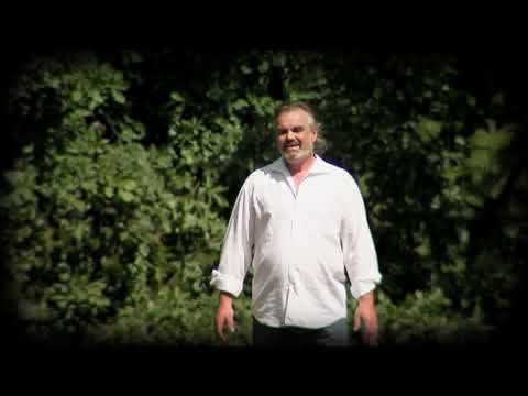 JOSEF ZOCH - Pampelišky