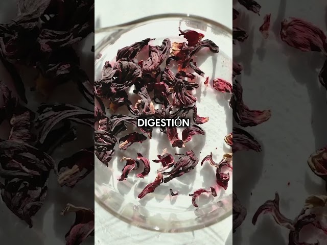 Vídeo relacionado con Kusmi Tea - Sweet Break - Té Orgánico - Mezcla de Hibisco, Plantas, Frutos Rojos y Notas de Galleta - Infusión de Hibisco - Tisana Orgánica sin Teína - Lata de Té de 100g para aprox. 50 tazas