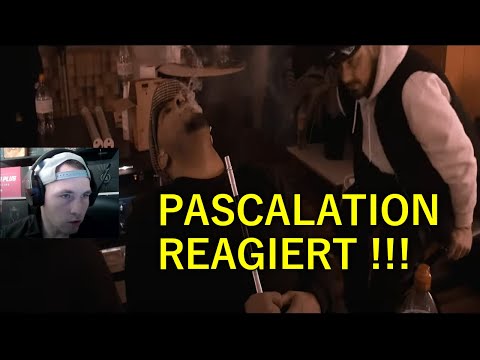 ALPA GUN BROKE REACTION EIN ALBUM MUSS HERR