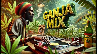 🔥Top Reggae Dub Songs of 2024 | The Best Vibes & Basslines to Lift Your Spirit | Reggae Dub Mix 🇯🇲
