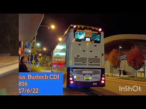 Hillsbus: Bustech CDI ( ZF/ EcoLife )