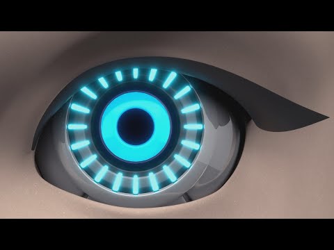 Trailer Eternal Beauty