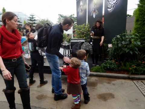 Xenia si fluturasii din Montreal - slideshow