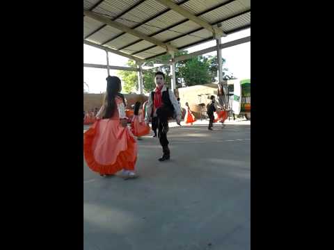 Invernada pré - mirim alma Gaúcha