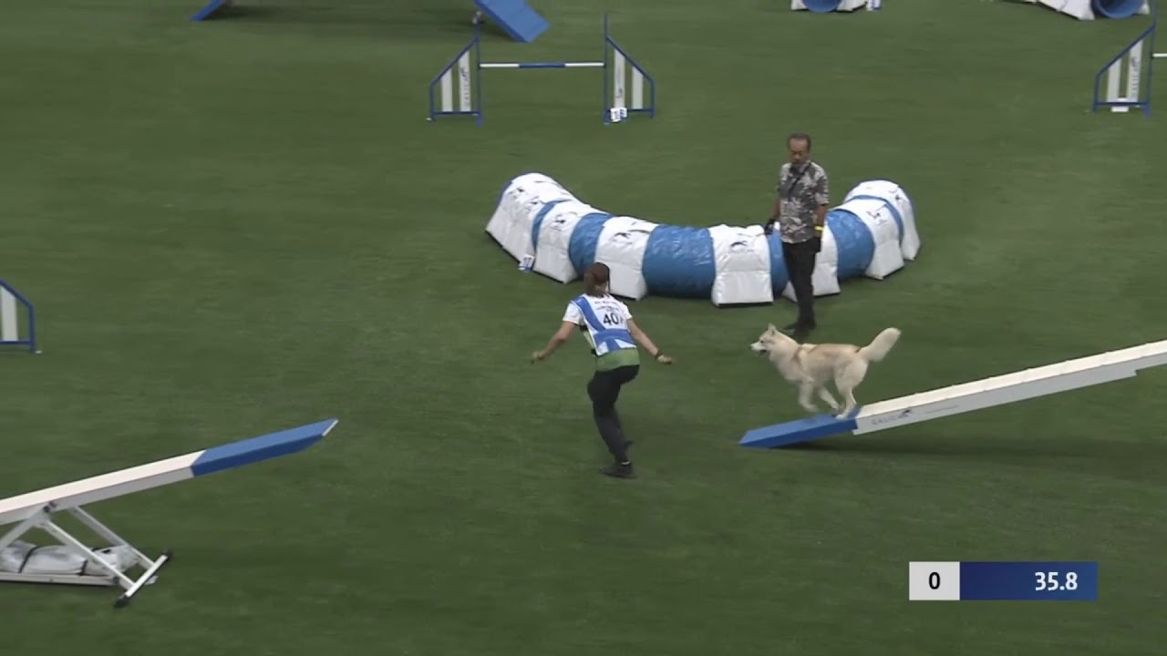 YouTube video preview