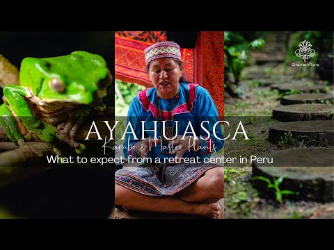 Ayahuasca & Ancient Healing: What to expect at a retreat center in Peru